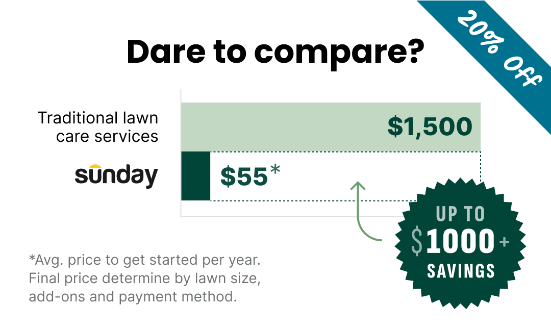 A graphic with the words 20% off custom yard plans