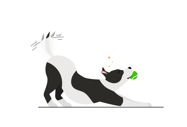Dog Illustration