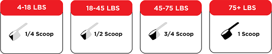 Introductory Feeding (4).png
