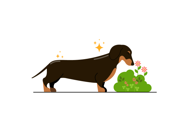 Dog Illustration