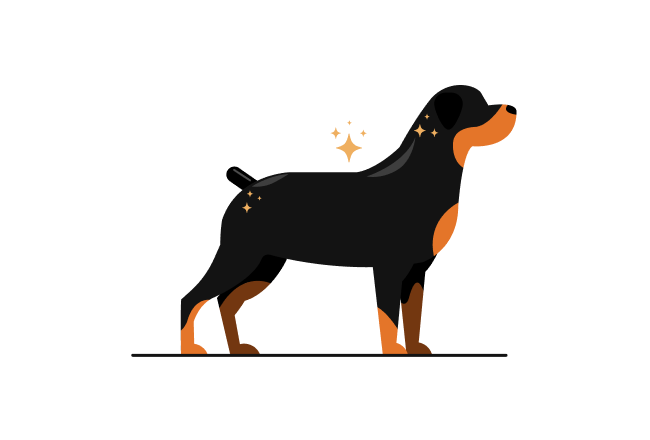 Dog Illustration